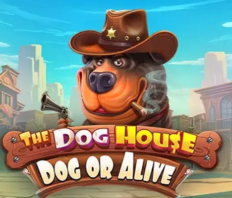 The Dog House   Dog Or Alive