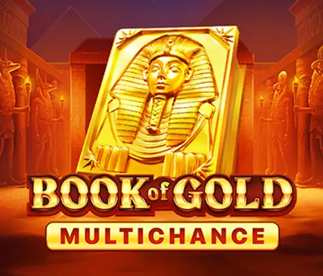 Book Of Gold Multichance